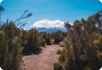 Manu National Park, Peru