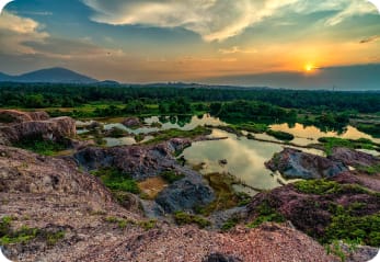 Yasuni National Park